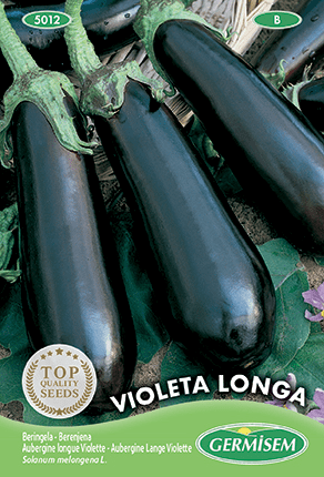 Aubergine longue Violette