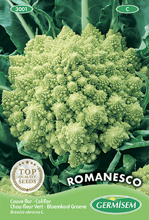 Chou-fleur vert Romanesco