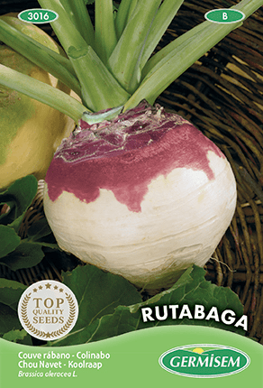 Chou Navet Rutabaga