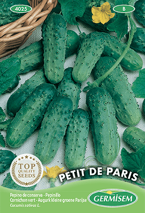 Cornichon vert Petit de Paris