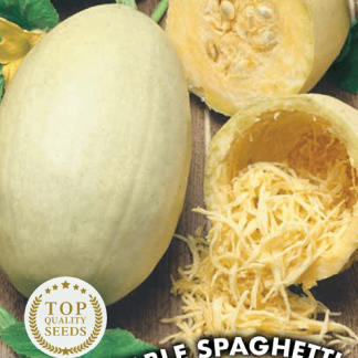 Courge Vegetable Spaghetti