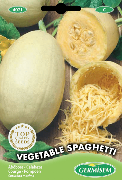 Courge Vegetable Spaghetti