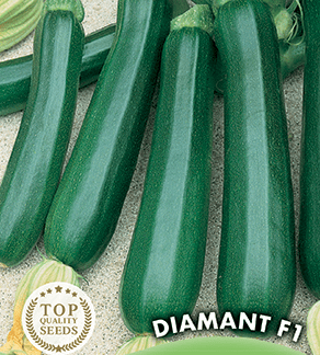 Courgette Diamant F1