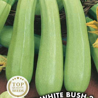 Courgette Long White Bush 2