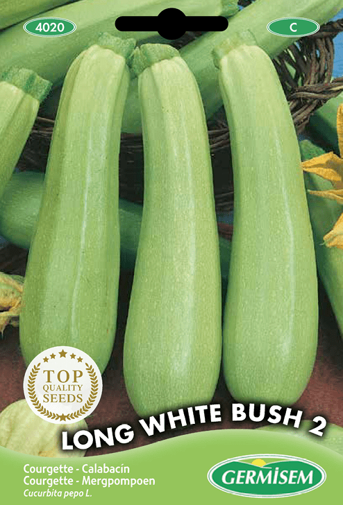 Courgette Long White Bush 2