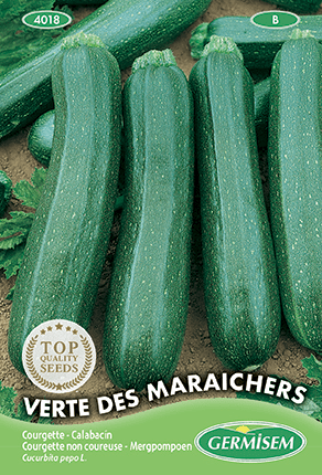 Courgette non coureuse Verte des Maraîchers