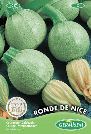 Courgette ronde de Nice