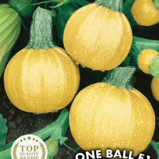 COurgette ronde One Ball F1