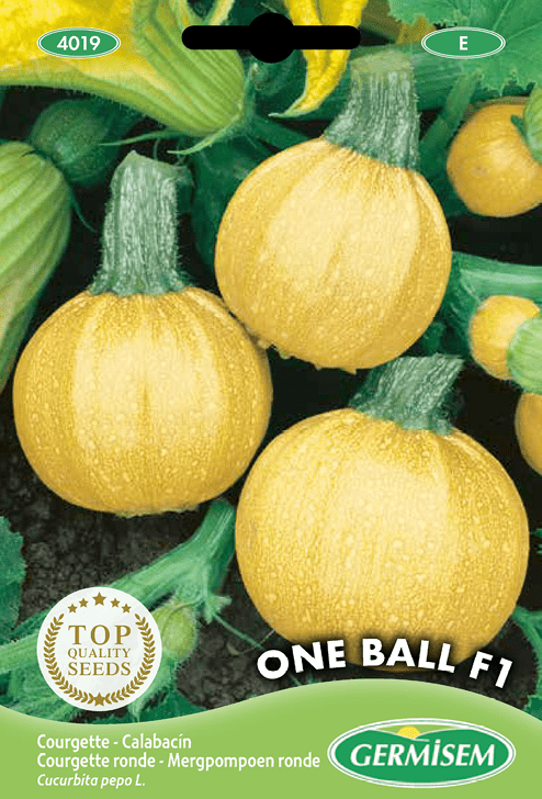 COurgette ronde One Ball F1
