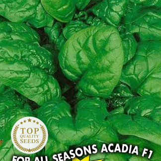 Épinard toutes saisons For All Seasons Acadia F1