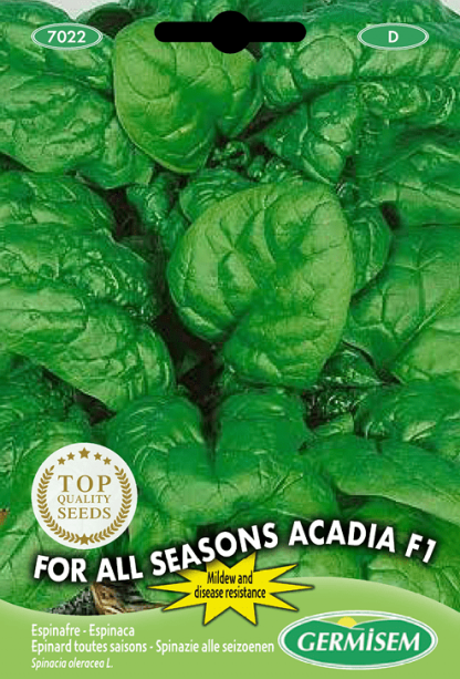 Épinard toutes saisons For All Seasons Acadia F1