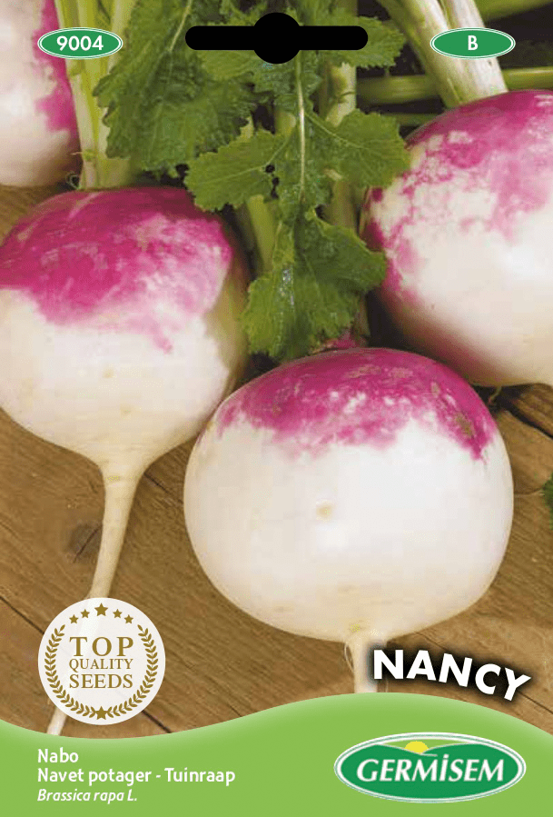 Navet potager Nancy