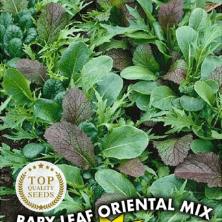 Mélange Baby Leaf Oriental Mix