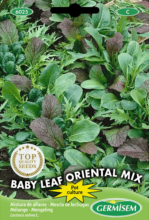 Mélange Baby Leaf Oriental Mix