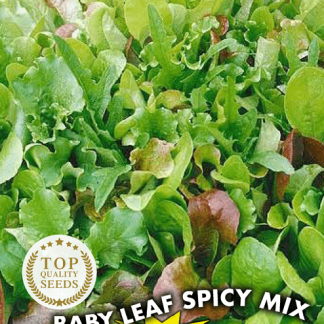 Mélange Baby Leaf Spicy Mix