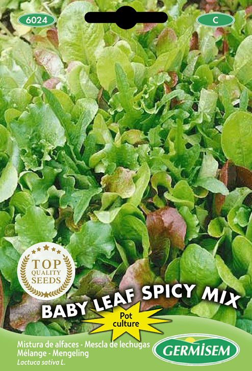 Mélange Baby Leaf Spicy Mix