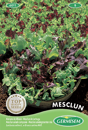 Mesclun salade composée