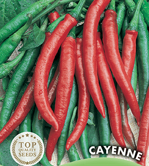 Piment Espagne Cayenne