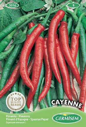 Piment Espagne Cayenne