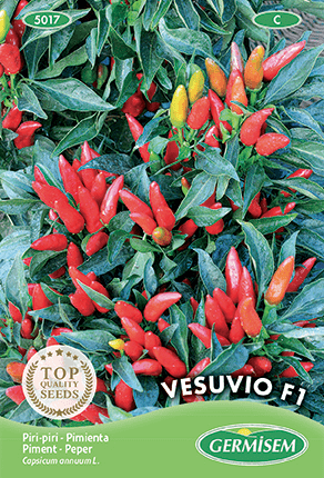 Piment Vesuvio F1