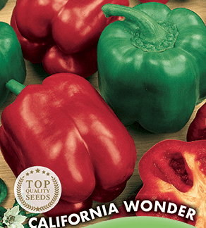 Poivron doux California Wonder