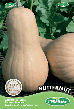 Potiron Butternut