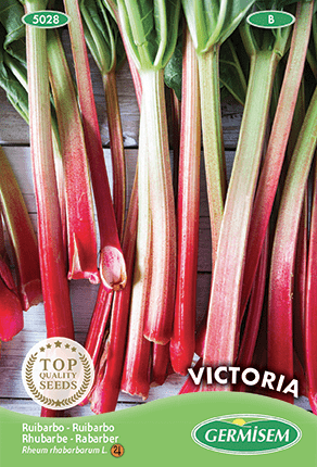 Rhubarbe Victoria