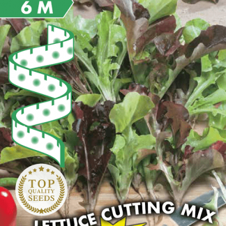 Trio de laitues à couper ruban 6m Lettuce Cutting Mix