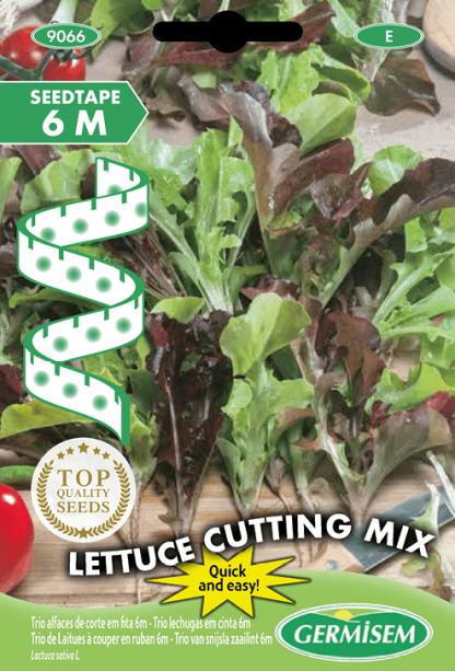 Trio de laitues à couper ruban 6m Lettuce Cutting Mix