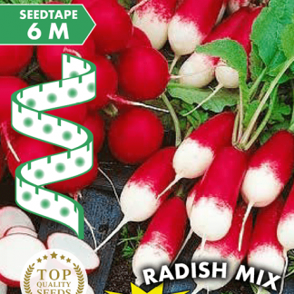 Trio de radis ruban 6m Radish Mix