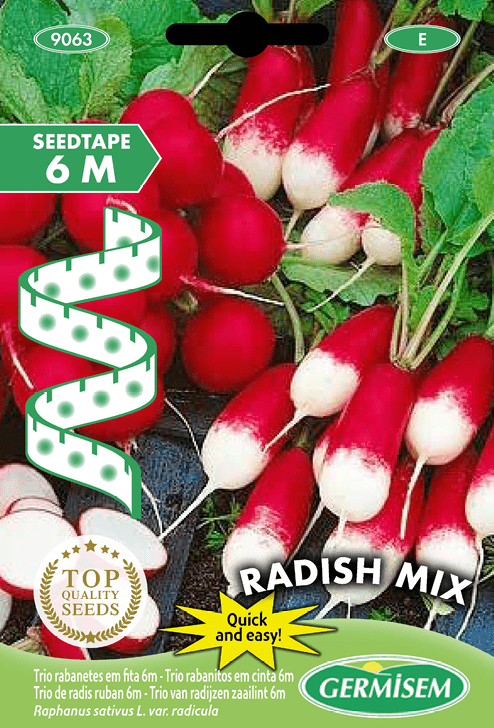 Trio de radis ruban 6m Radish Mix