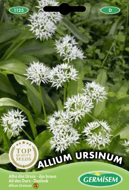 Ail des Ours Allium Ursinum