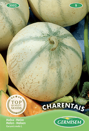 Melon Charentais