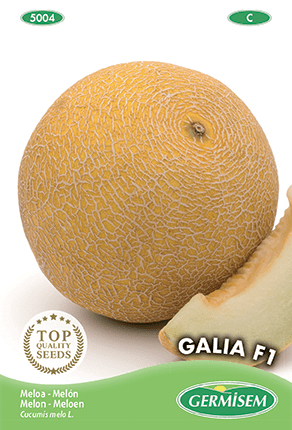 Melon Galia F1