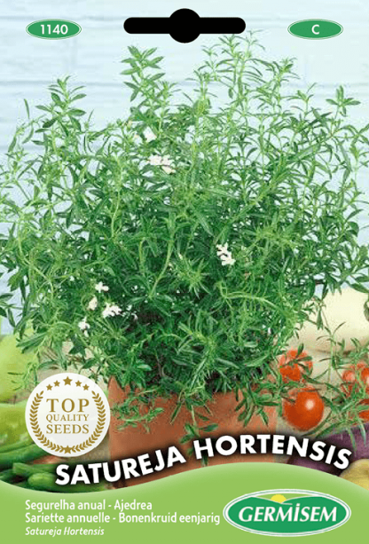 Sariette annuelle Satureja Hortensis
