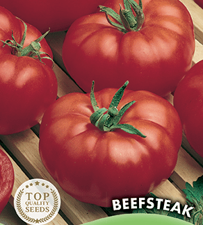 Tomate Beefsteak