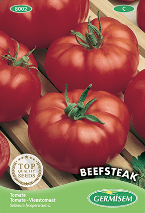 Tomate Beefsteak