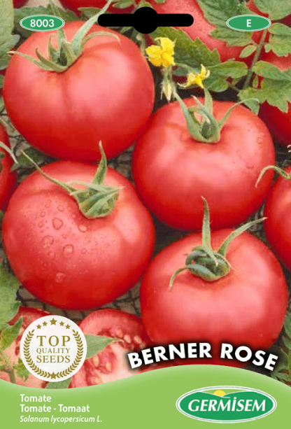 Tomate Rose de Berne