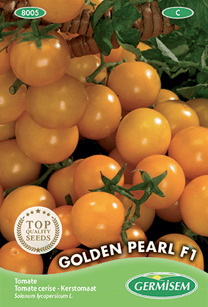 Tomate cerise Golden Pearl F1