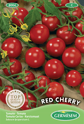 Tomate cerise Red Cherry