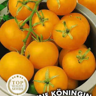 Tomate jaune Goldene Köningin