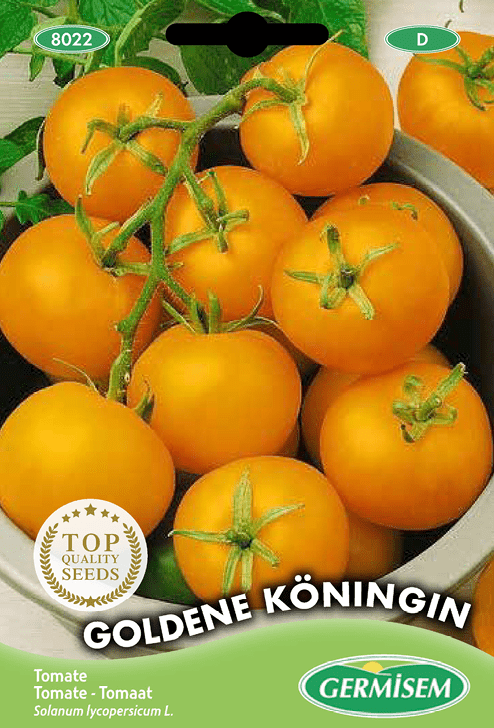 Tomate jaune Goldene Köningin