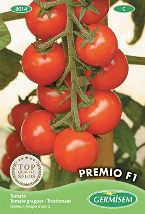 Tomate grappes Premio F1