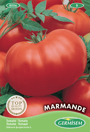 Tomate Marmande