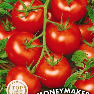 Tomate Moneymaker