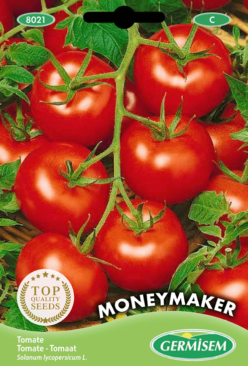 Tomate Moneymaker