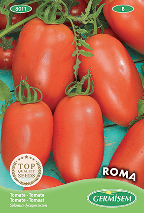 Tomate Roma