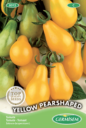 Tomate Yellow Pearshaped