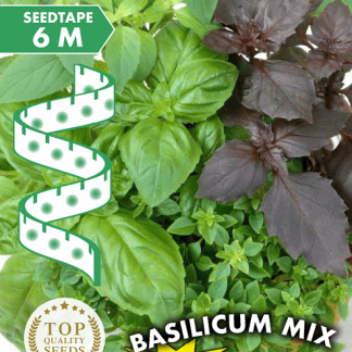 Trio de basilic en ruban 6m Genovese Lettuce Leaf Purple Opal Basilicum Mix