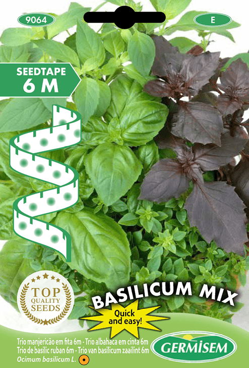 Trio de basilic en ruban 6m Genovese Lettuce Leaf Purple Opal Basilicum Mix
